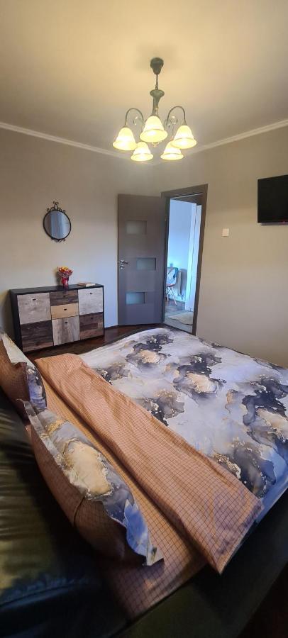 Comfort Home Apartment 1 เปโตรชานิ ภายนอก รูปภาพ